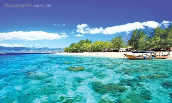 Một số giấc mơ về biển mà người mơ cần chú ý